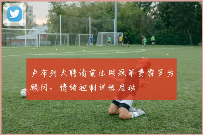 卢布列夫聘请前法网冠军费雷罗为顾问，情绪控制训练启动